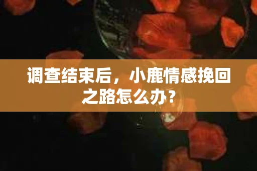 调查结束后，小鹿情感挽回之路怎么办？