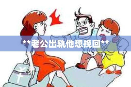 **老公出轨他想挽回**