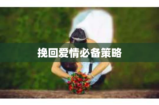 挽回爱情必备策略 挽回爱情必备策略