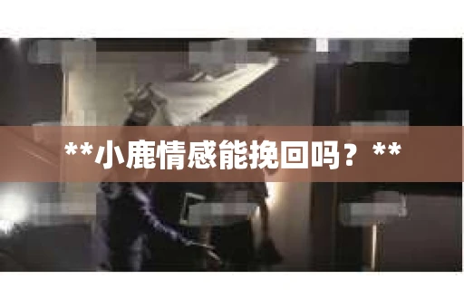 **小鹿情感能挽回吗？**