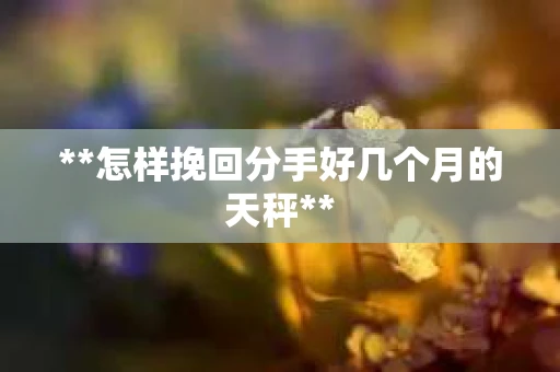 **怎样挽回分手好几个月的天秤**