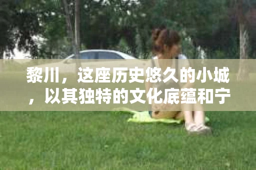 黎川，这座历史悠久的小城，以其独特的文化底蕴和宁静的生活节奏吸引着无数游客。然而，在这样一个看似平静的城市里，你是否会好奇，有没有私家侦探机构的存在呢？今天，就让我带你一探究竟。