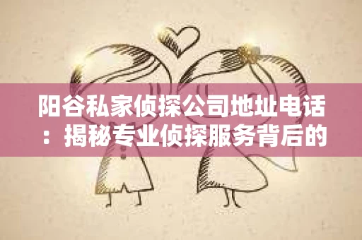 阳谷私家侦探公司地址电话：揭秘专业侦探服务背后的故事