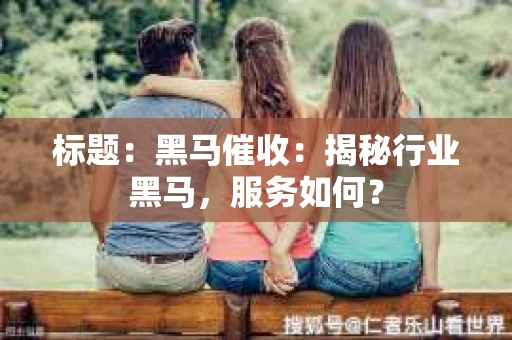 标题：黑马催收：揭秘行业黑马，服务如何？