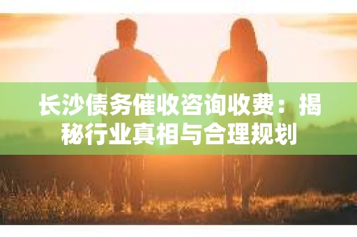 长沙债务催收咨询收费：揭秘行业真相与合理规划
