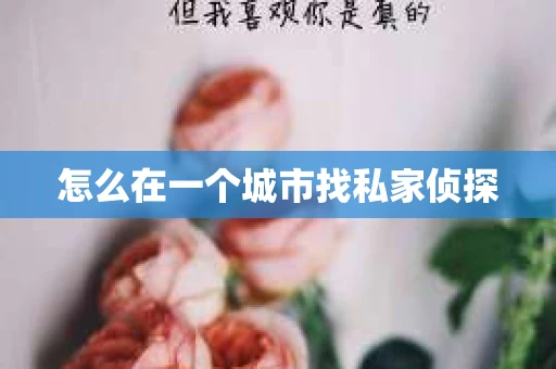 怎么在一个城市找私家侦探