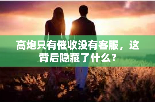 高炮只有催收没有客服，这背后隐藏了什么？