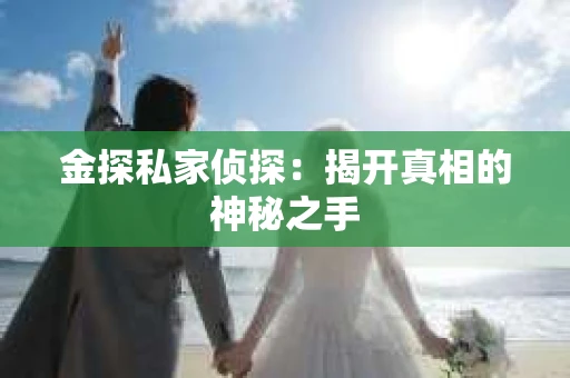 金探私家侦探：揭开真相的神秘之手