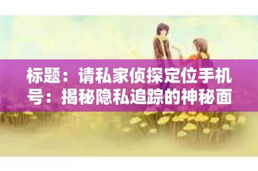 标题：请私家侦探定位手机号：揭秘隐私追踪的神秘面纱