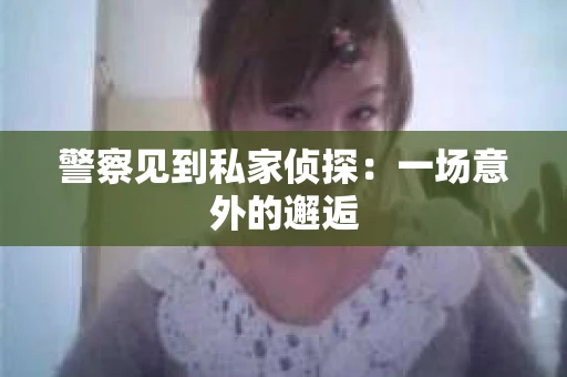 警察见到私家侦探：一场意外的邂逅