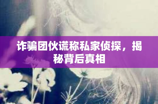 诈骗团伙谎称私家侦探，揭秘背后真相
