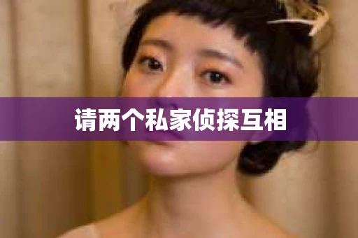 请两个私家侦探互相