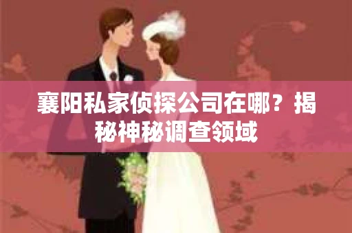 襄阳私家侦探公司在哪？揭秘神秘调查领域