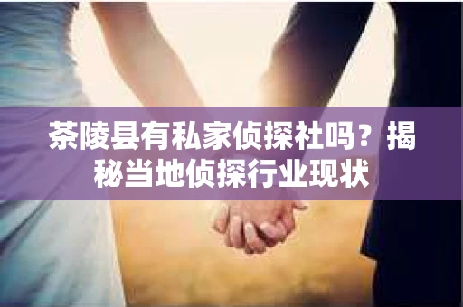 茶陵县有私家侦探社吗？揭秘当地侦探行业现状