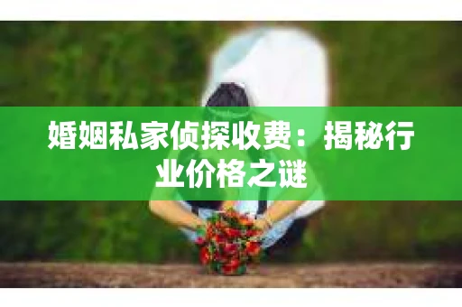 婚姻私家侦探收费：揭秘行业价格之谜