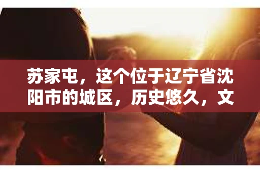 苏家屯，这个位于辽宁省沈阳市的城区，历史悠久，文化底蕴深厚。近年来，随着社会的发展，人们对于私家侦探的需求也逐渐增加。那么，苏家屯有私家侦探吗？今天，我们就来聊聊这个话题。