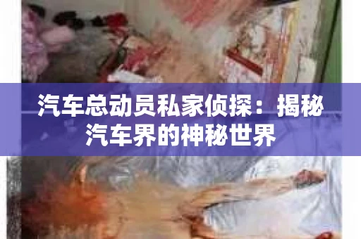 汽车总动员私家侦探：揭秘汽车界的神秘世界