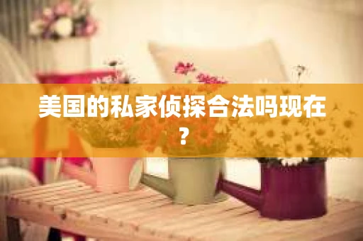 美国的私家侦探合法吗现在? 美国的私家侦探合法吗现在?