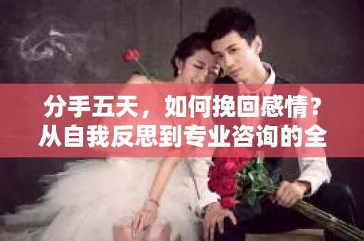 分手五天,如何挽回感情?从自我反思到专业咨询的全面解决方案 分手五天,如何挽回感情?从自我反思到专业咨询的全面解决方案