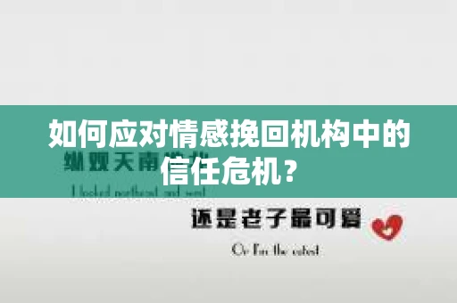 如何应对情感挽回机构中的信任危机？