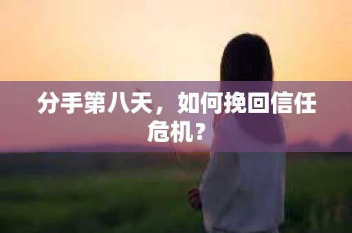 分手第八天，如何挽回信任危机？
