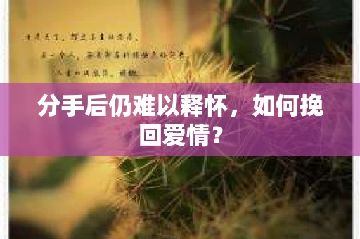 分手后仍难以释怀，如何挽回爱情？